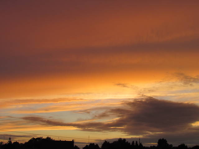 IMG_3199.JPG - wodnik50