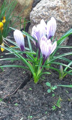2013-04-20 16.46.37.jpg