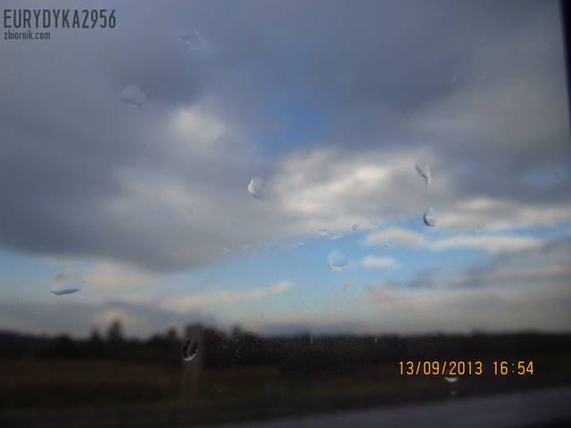 IMG_2134.JPG - Eurydyka2956