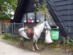 tylko ksiecia brak :)