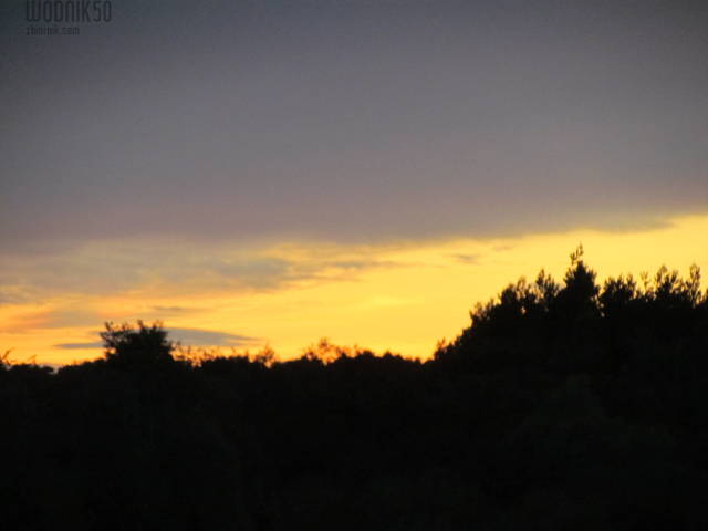 IMG_3527.JPG - wodnik50