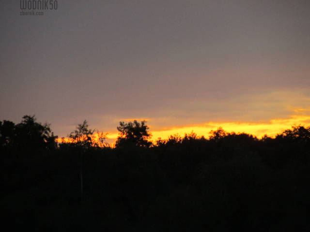 IMG_3537.JPG - wodnik50