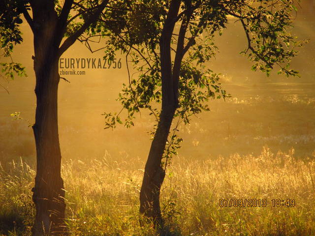 IMG_2036.JPG - Eurydyka2956