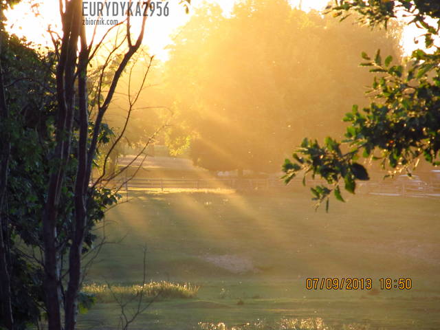 IMG_2038.JPG - Eurydyka2956