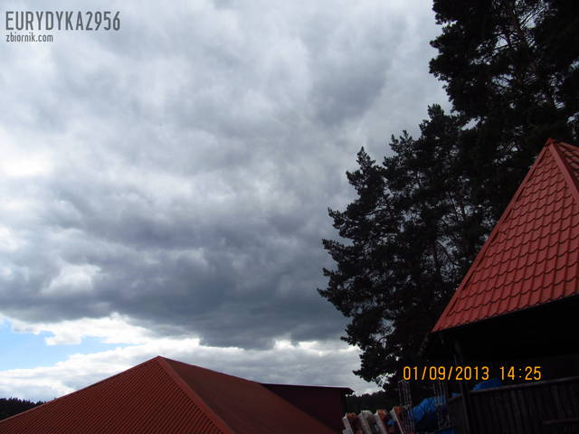 IMG_1889.JPG - Eurydyka2956