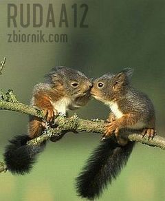 Rudzia z mężem.jpg