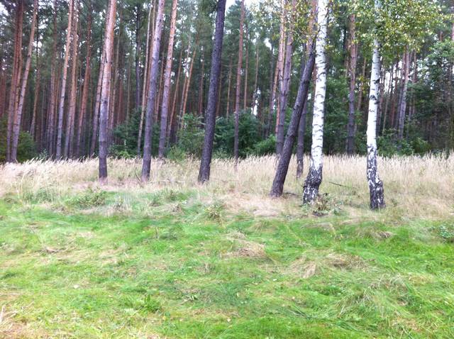 Szukałem słońca - facet45Wrocek