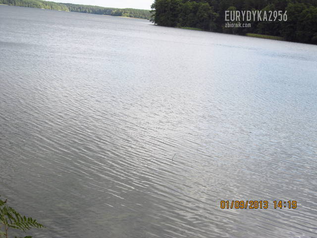 wspomnienie lata - Eurydyka2956