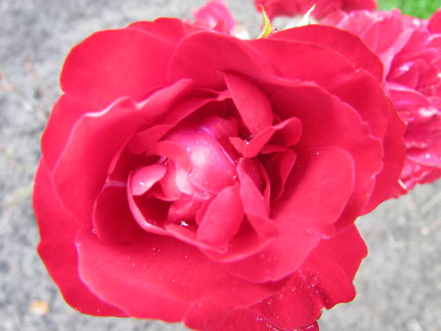 IMG_3669.JPG - wodnik50