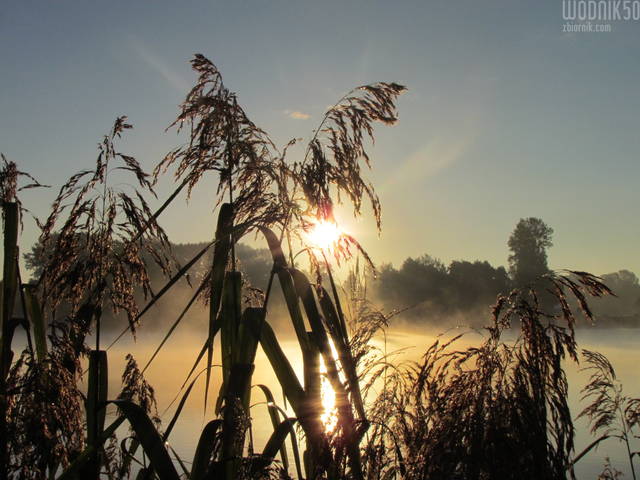 IMG_3650.JPG - wodnik50