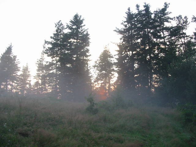 Kiedy ranne wstają zorze - InTheSilenceOfTheNight