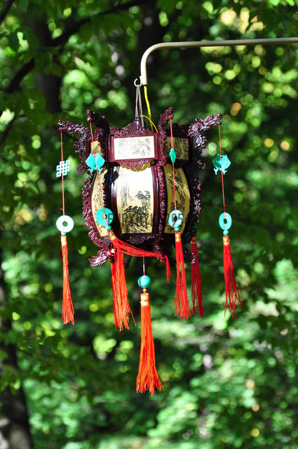 DSC_7442.JPG - Eurydyka2956