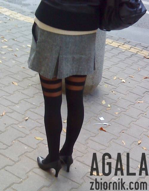 DSC04811odj.jpg - AGALA