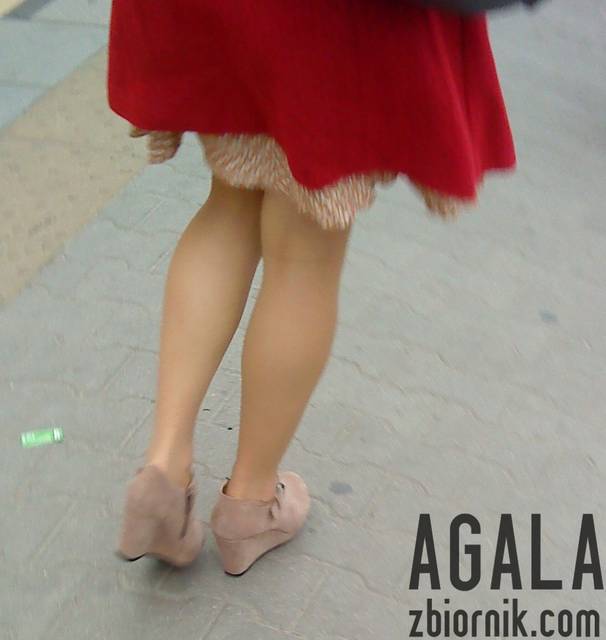 DSC04783kl.jpg - AGALA