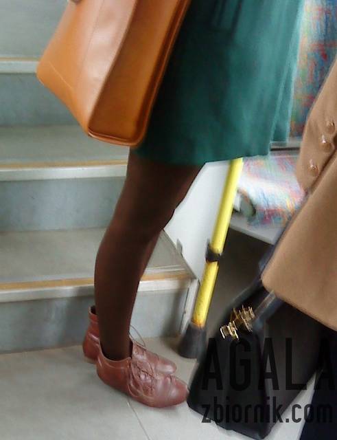 DSC04771kol.jpg - AGALA