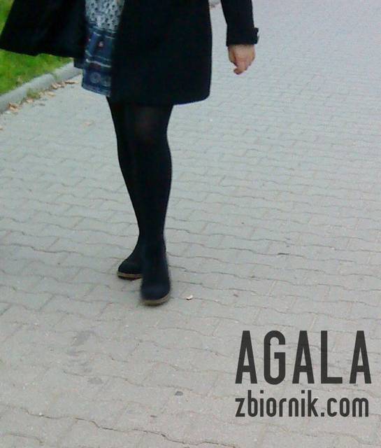 DSC04731cz.jpg - AGALA