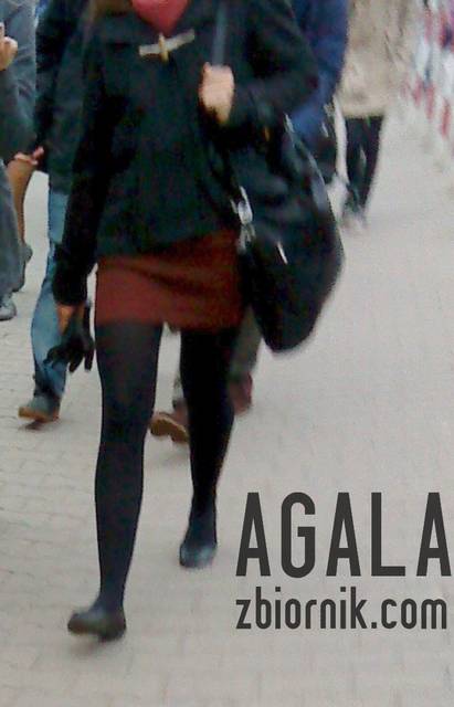 DSC04730cz.jpg - AGALA