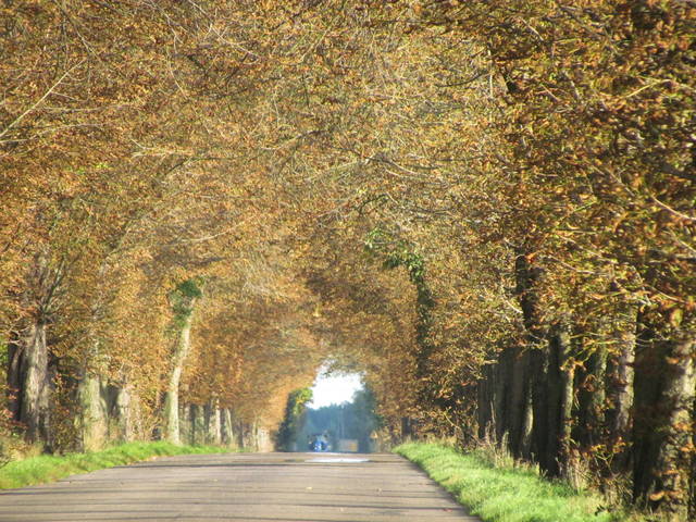 IMG_3853.JPG - wodnik50