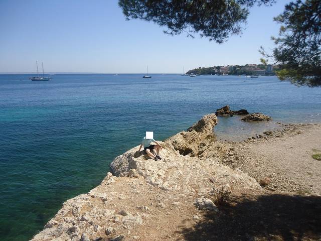 ws.jpg - dominator2410