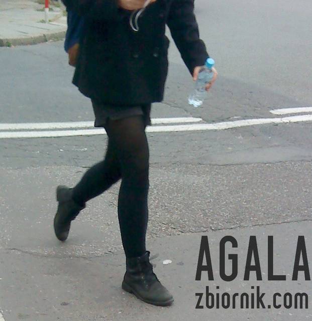 DSC04826cz.jpg - AGALA