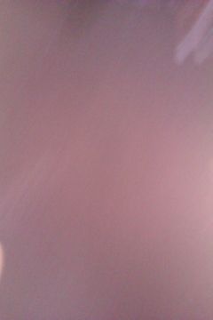 IMAG0041.jpg