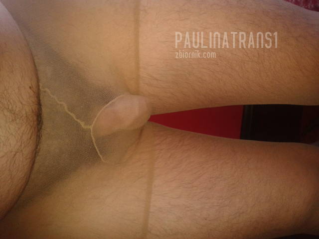 2013-10-07 16.32.46.jpg - paulinatrans1