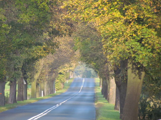 IMG_3905.JPG - wodnik50