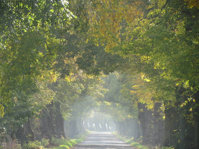 IMG_4077.JPG - wodnik50