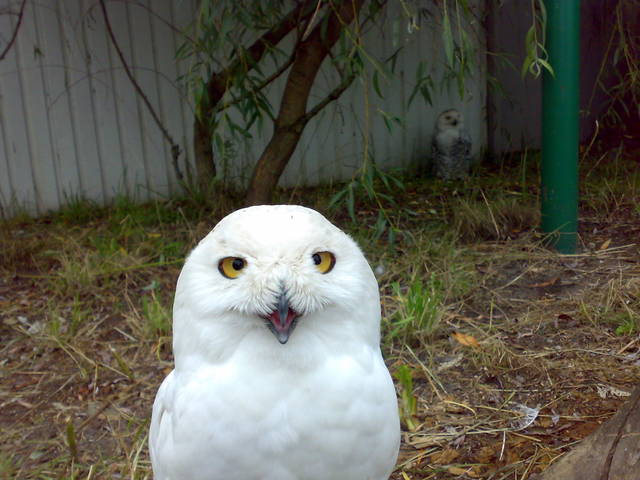 07182009220.jpg - pixi2507