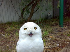 07182009220.jpg