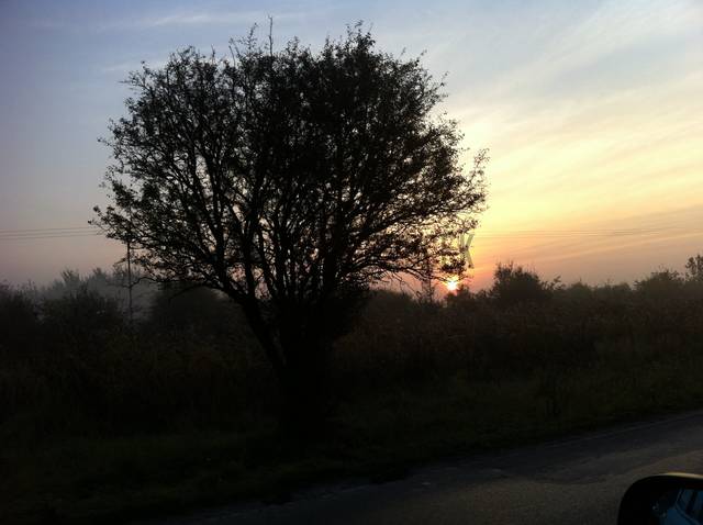 Droga do pracy:) - facet45Wrocek