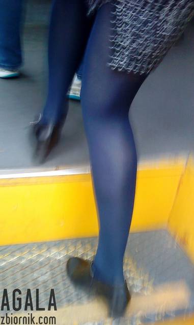 DSC05068kol.jpg - AGALA