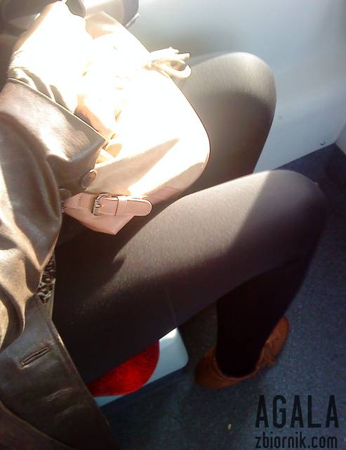 DSC05082L.jpg - AGALA