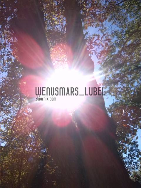 z.jpg - WenusMars_LUBEL