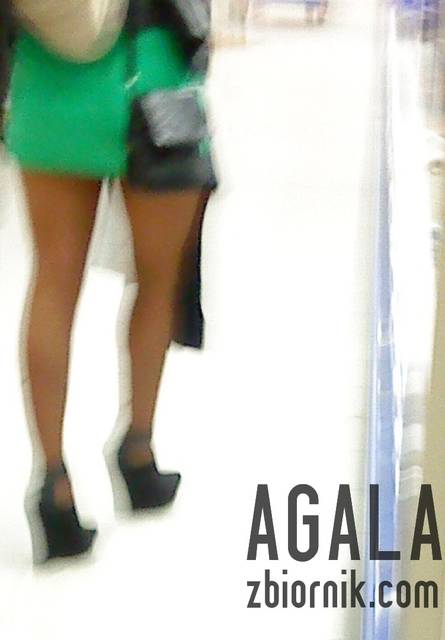 DSC05163kl.jpg - AGALA