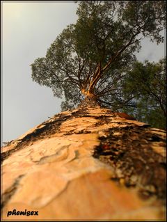 daleka droga na szczyt ...