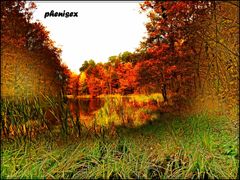 zielona wyspa w ogniu jesieni