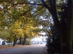 Jesień... jest i wreszcie ta złota