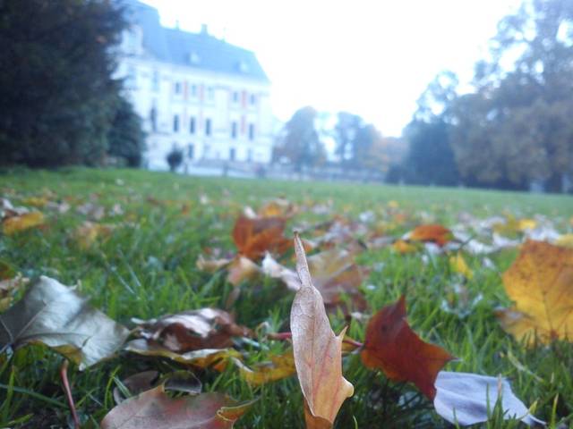 Jesień... szkoda że tylko telefon był "pod ręką" - _Sylwek_