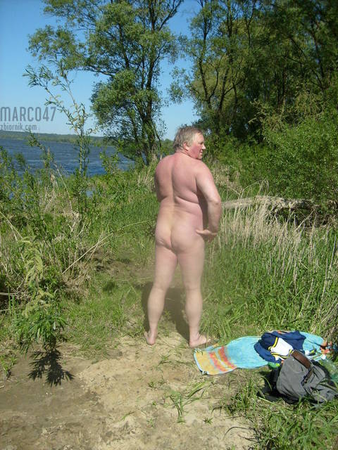 311277_original_198543.jpg - marco47