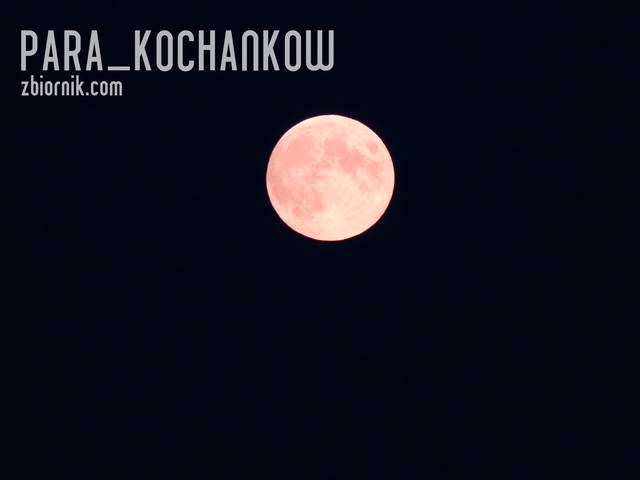 Srebrny glob - para_kochankow