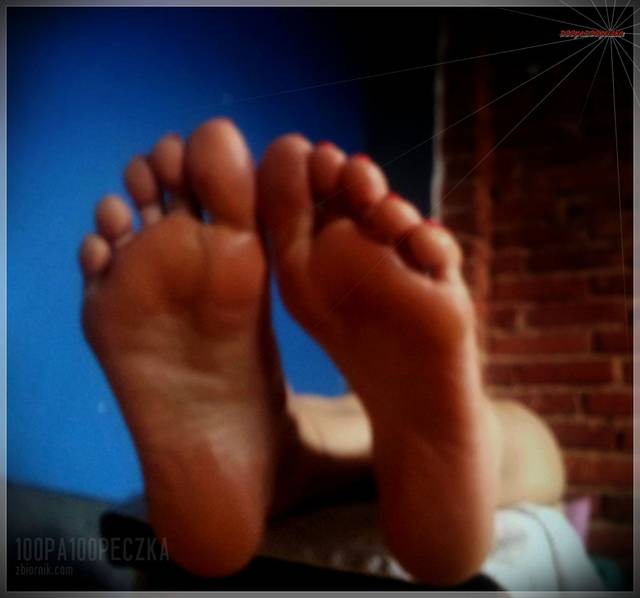 Spodziki 96 - 100pa100peczka