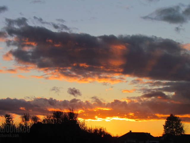 IMG_4407.JPG - wodnik50