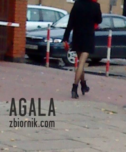 DSC05308cz.jpg - AGALA