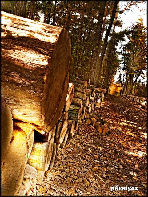 siekierezada - phenisex