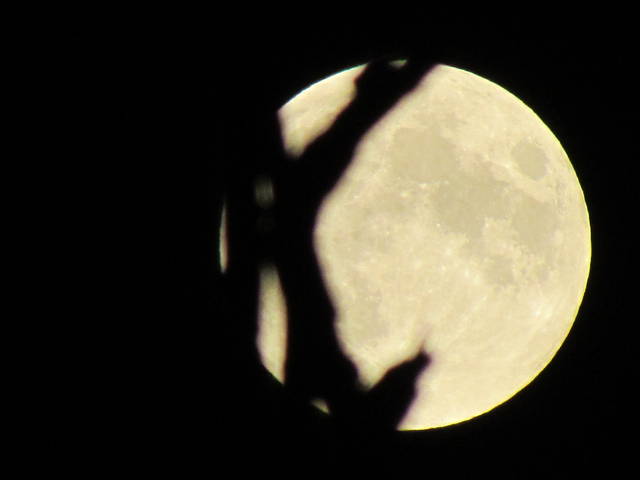 IMG_4421.JPG - wodnik50