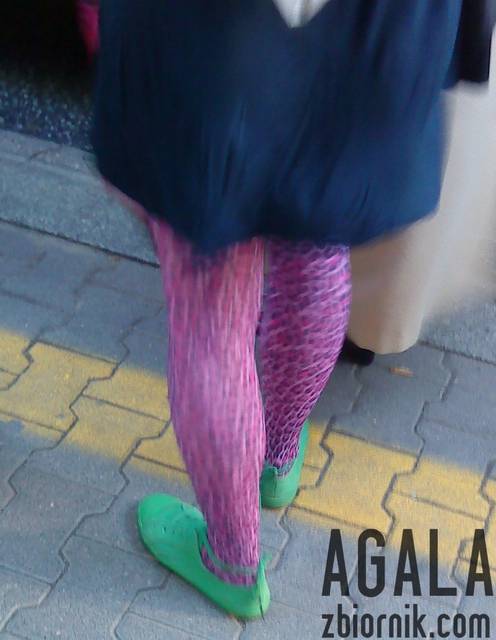 DSC05396odj.jpg - AGALA