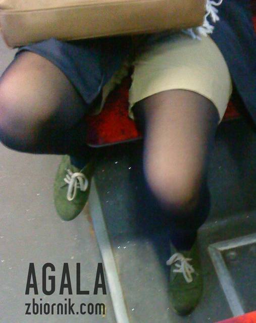 DSC05464kol.jpg - AGALA