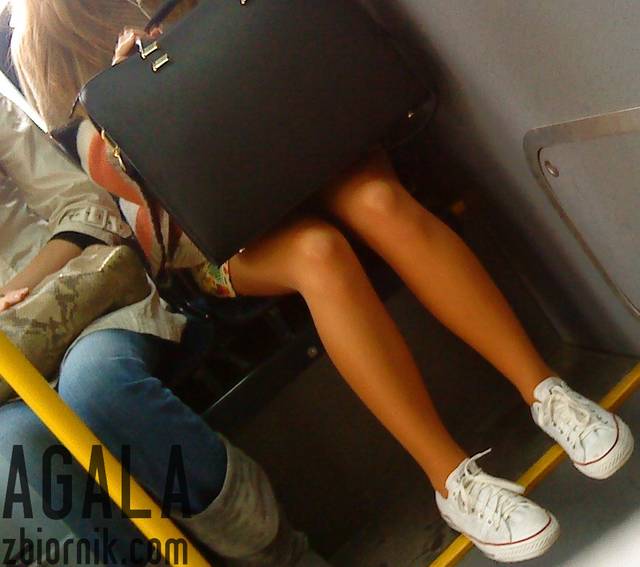 DSC05443kl.jpg - AGALA