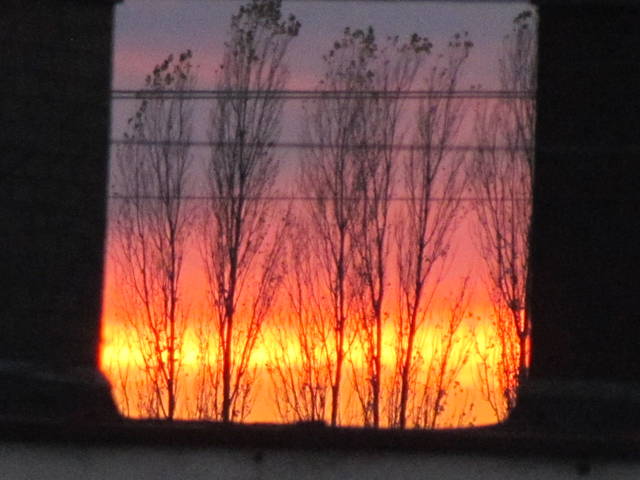 IMG_4913.JPG - wodnik50